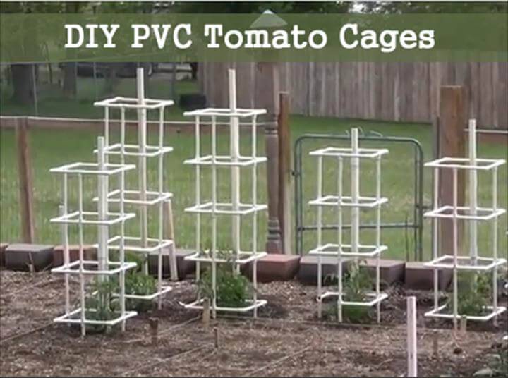 reclaimed PVC pipe tomato cages