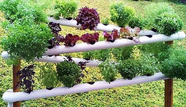 DIY PVC pipe hydroponic garden idea