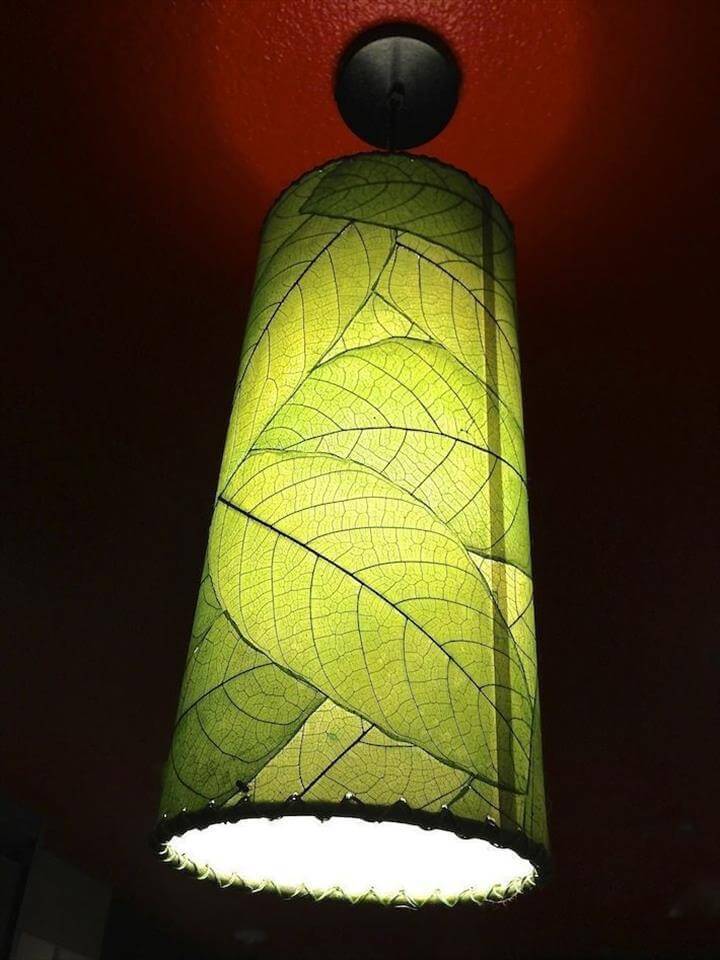 recovered lampshade using house plants