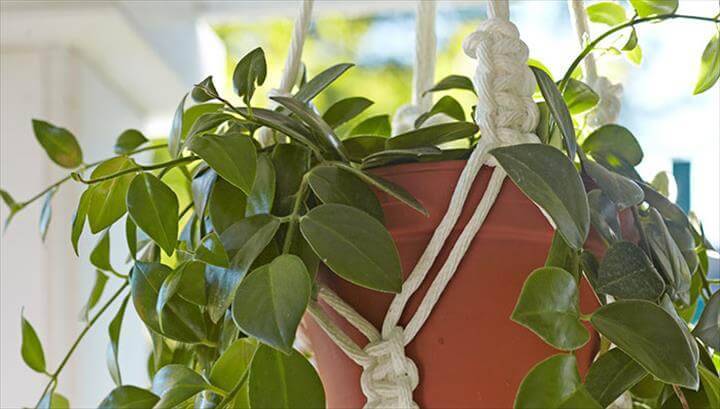 Cool DIY macrame plant hanger