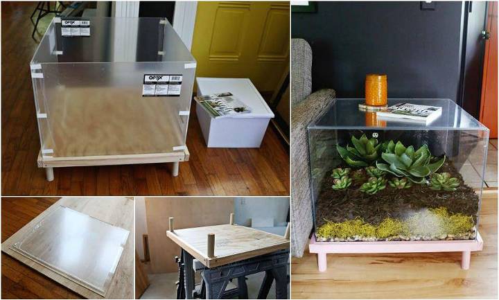 self-installed terrarium coffee table or side table