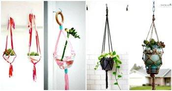 Macrame Plant Hanger – 100 Best Macrame Ideas for Hanging Plants