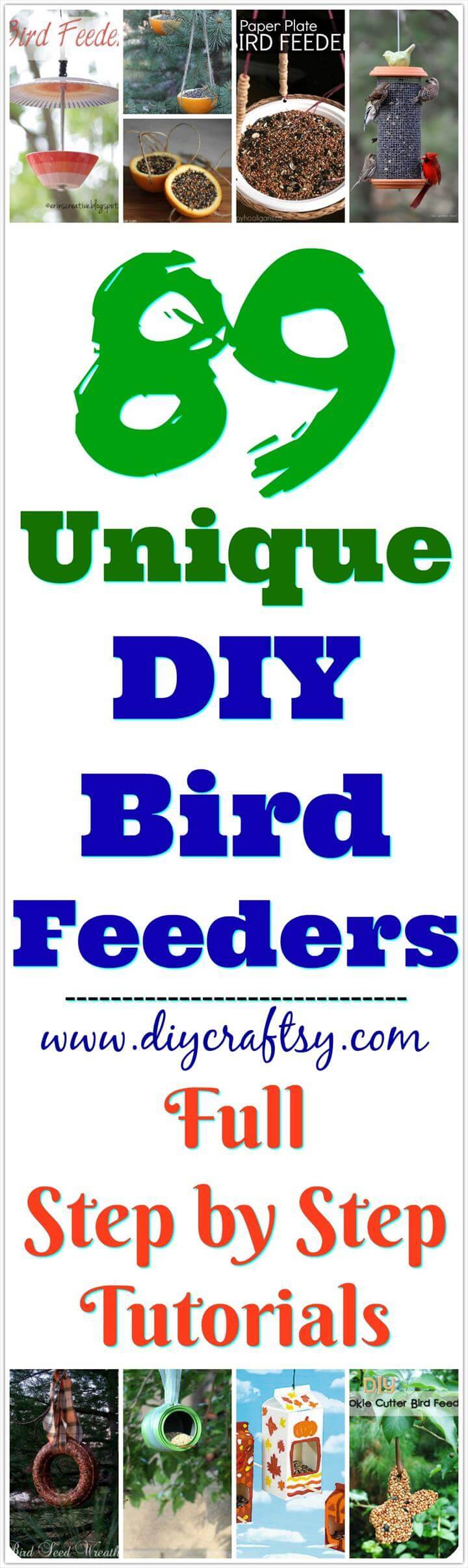 DIY Bird Feeder Ideas