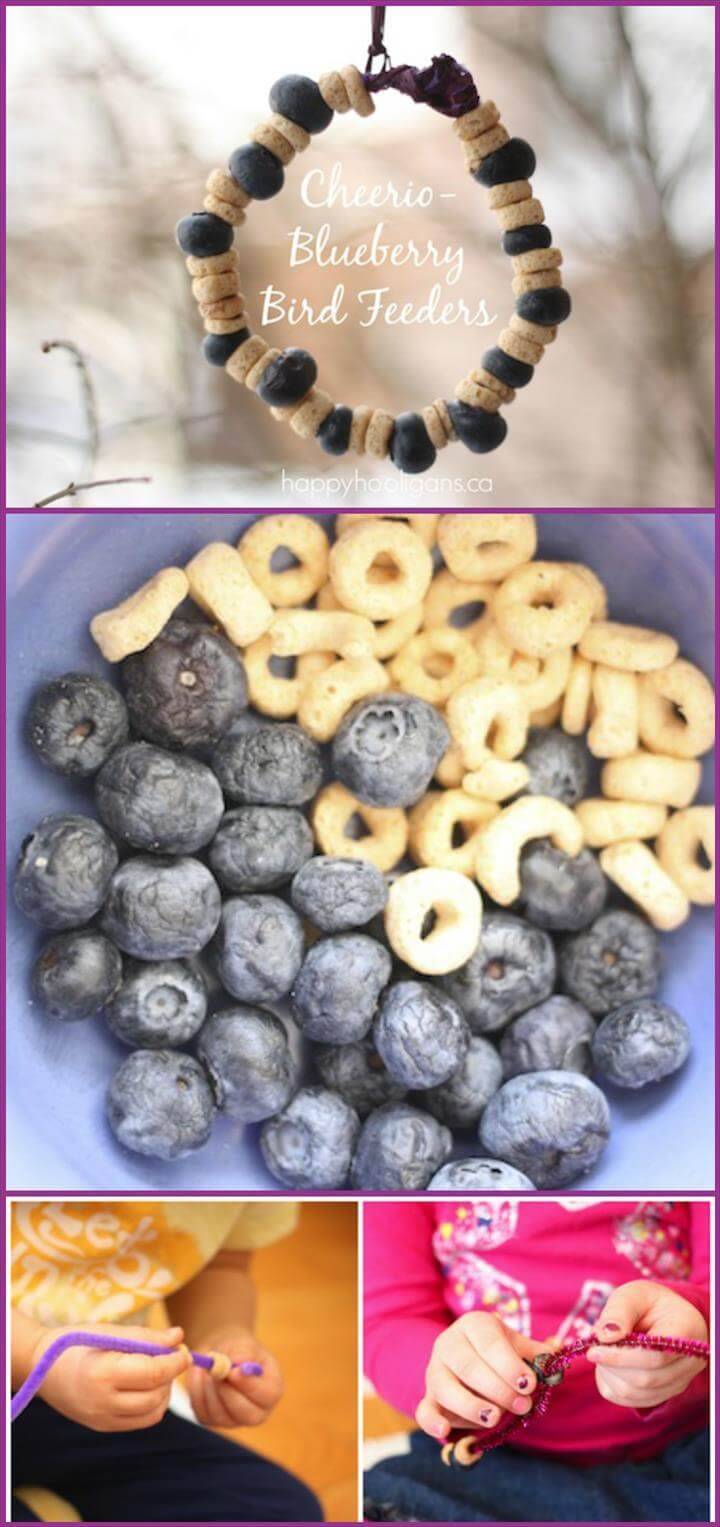 quick cheerio blueberry bird feeder