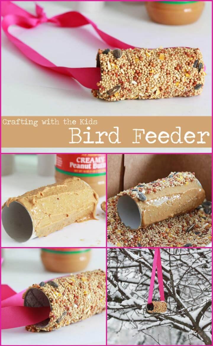 repurposed cardboard roll bird feeder