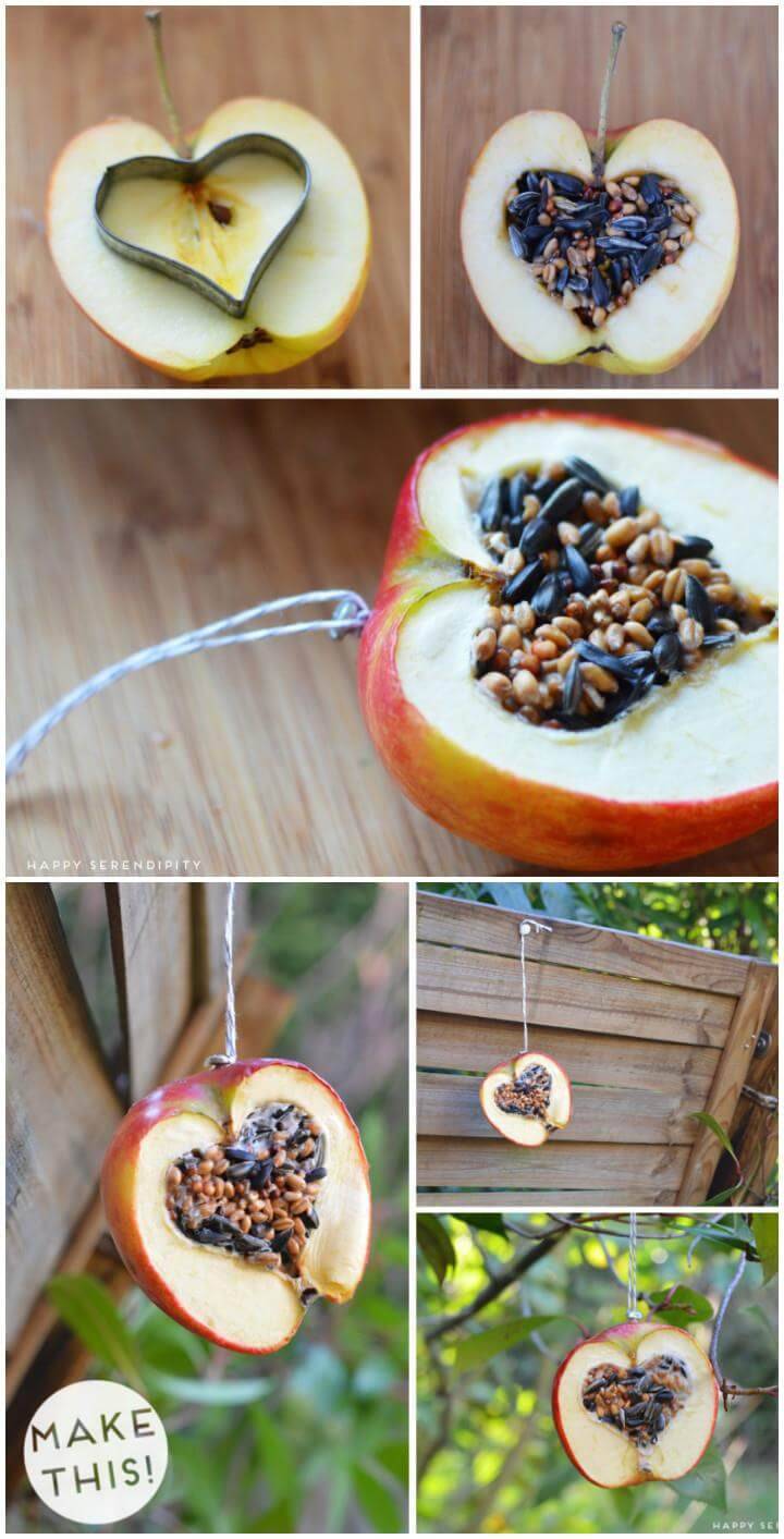 90 Unique Diy Bird Feeder Ideas To Attract Birds Diy Crafts