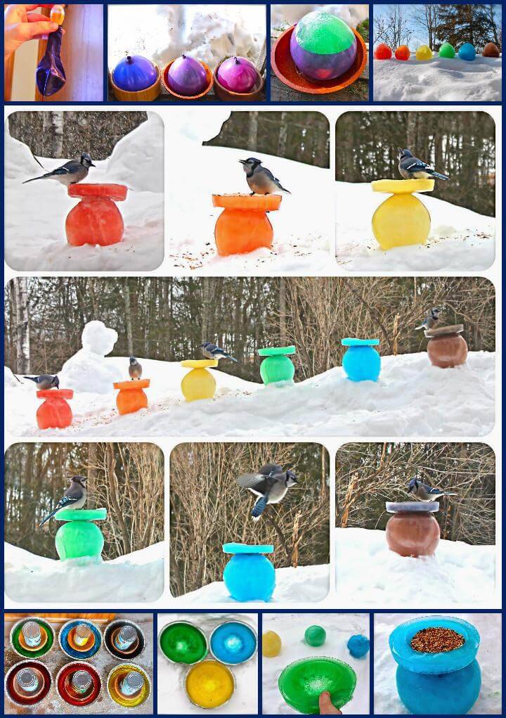 cool rainbow ice bird feeders