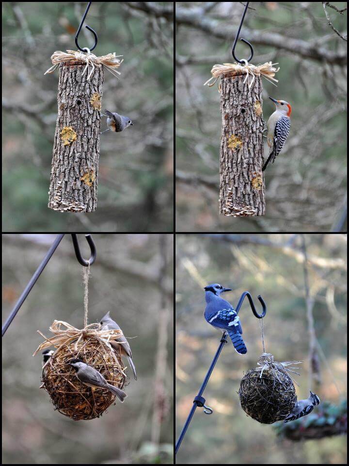 smart suet bird feeder idea