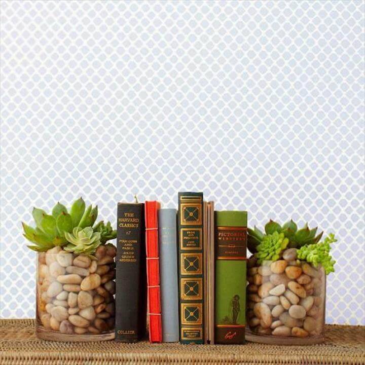 DIY Beautiful Succulent Bookends