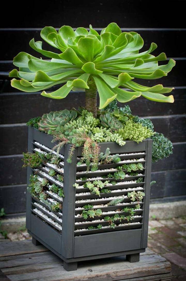 DIY Decorative Gravel Succulent Pot