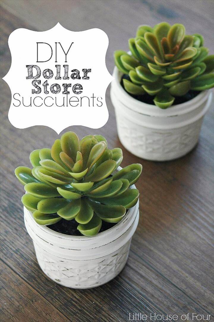 DIY Dollar Store Succulent Planter