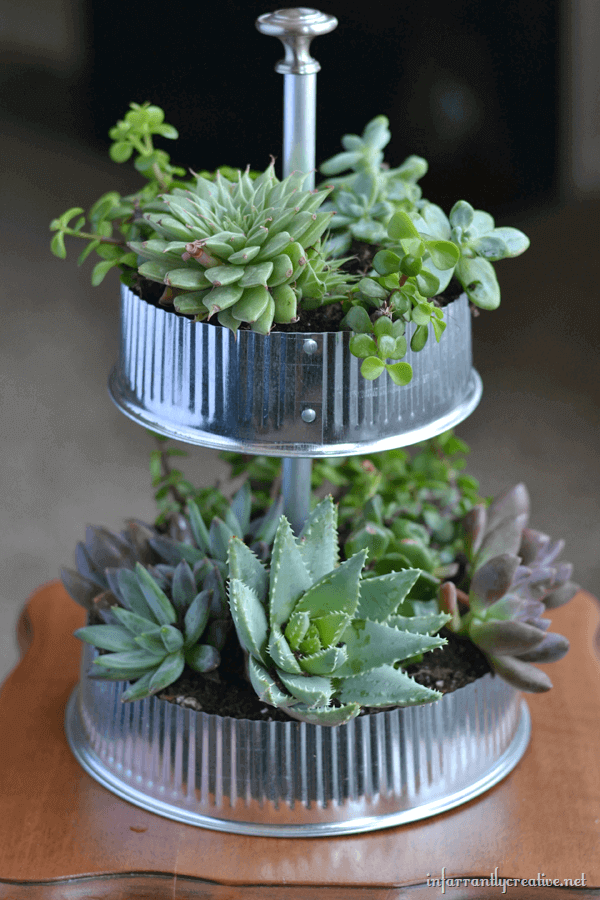 DIY Galvanized & Tiered Vent Cap Succulent Indoor Display