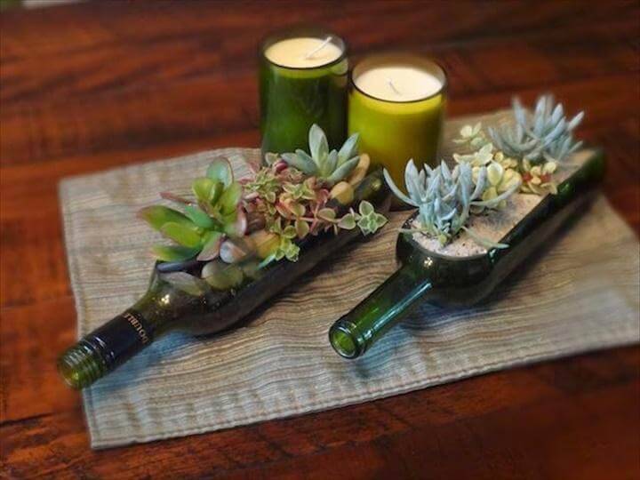 DIY Glass Bottle Succulents for Indoor Display