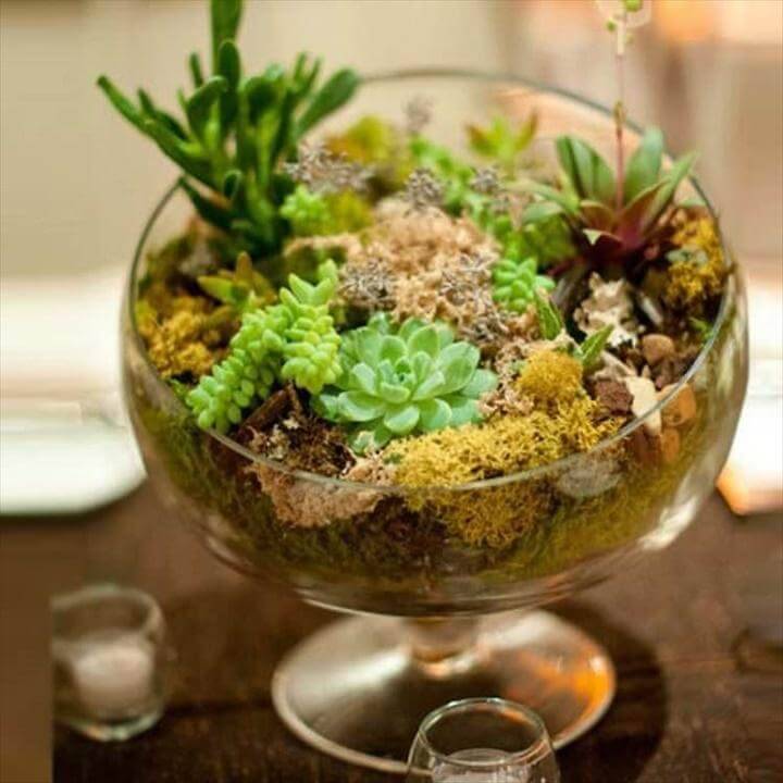 DIY Glass Bowl Succulent Planter