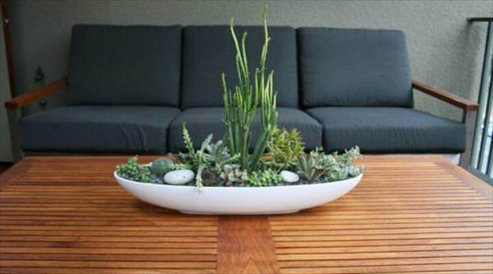 DIY Indoor Succulent Dish