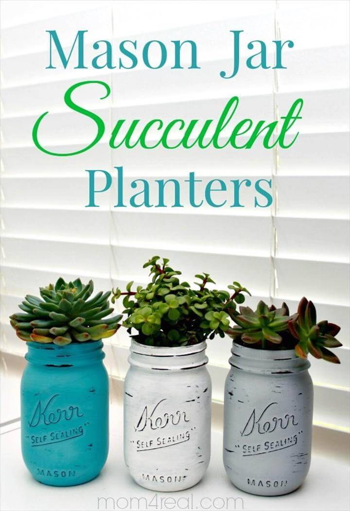 Repurposed Mason Jar Succulent Indoor Display Idea