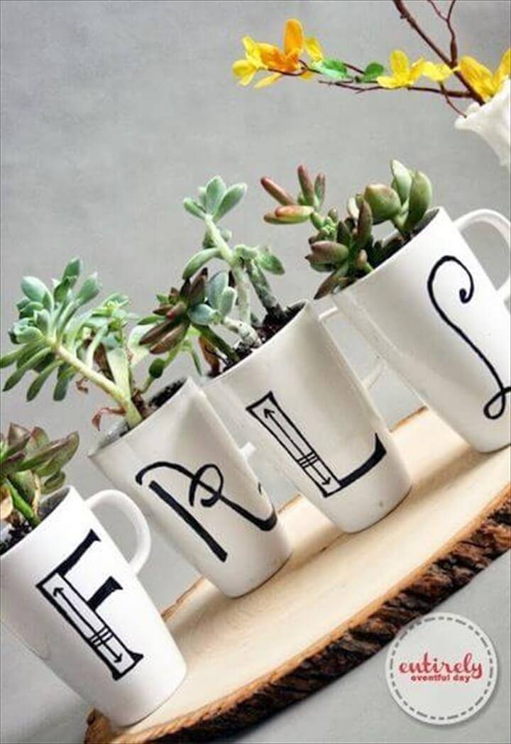 DIY Monogram Mug Succulent Indoor Display