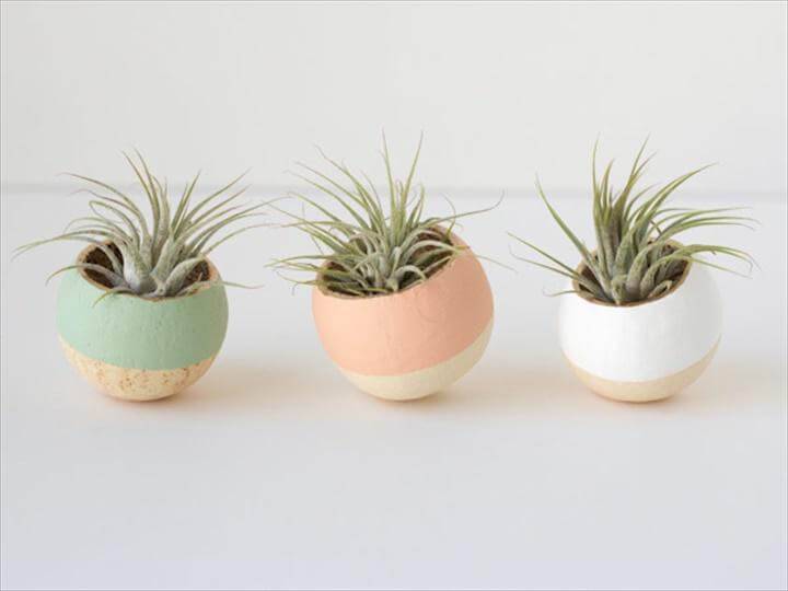 DIY Painted Air Plant Bell Cups