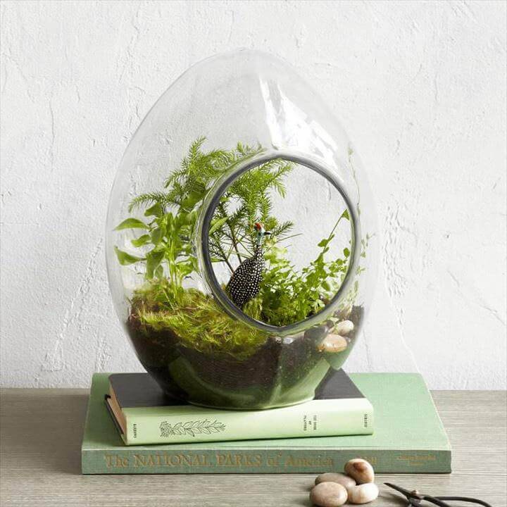 DIY Precious Succulent Terrarium