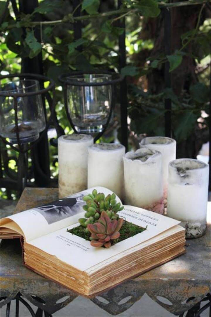 DIY Succulent Open Books