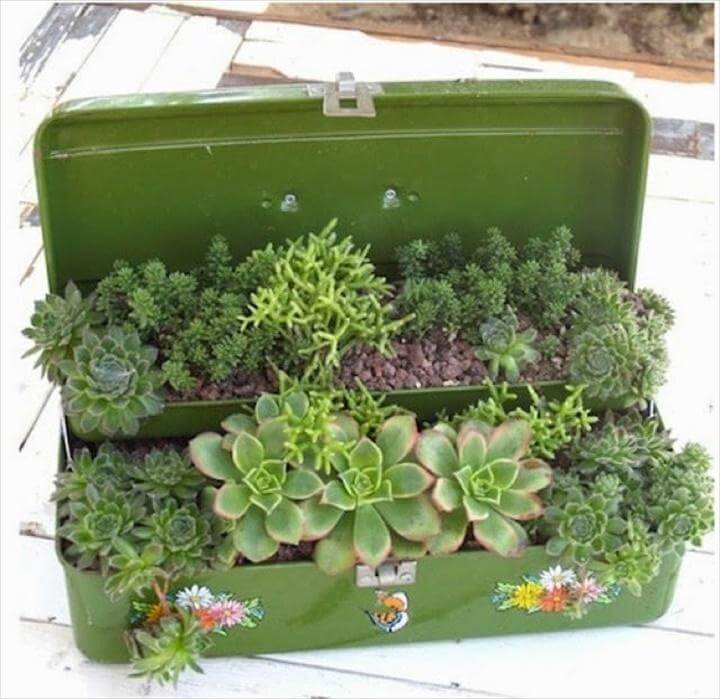 DIY Succulent Suitcase for Indoor