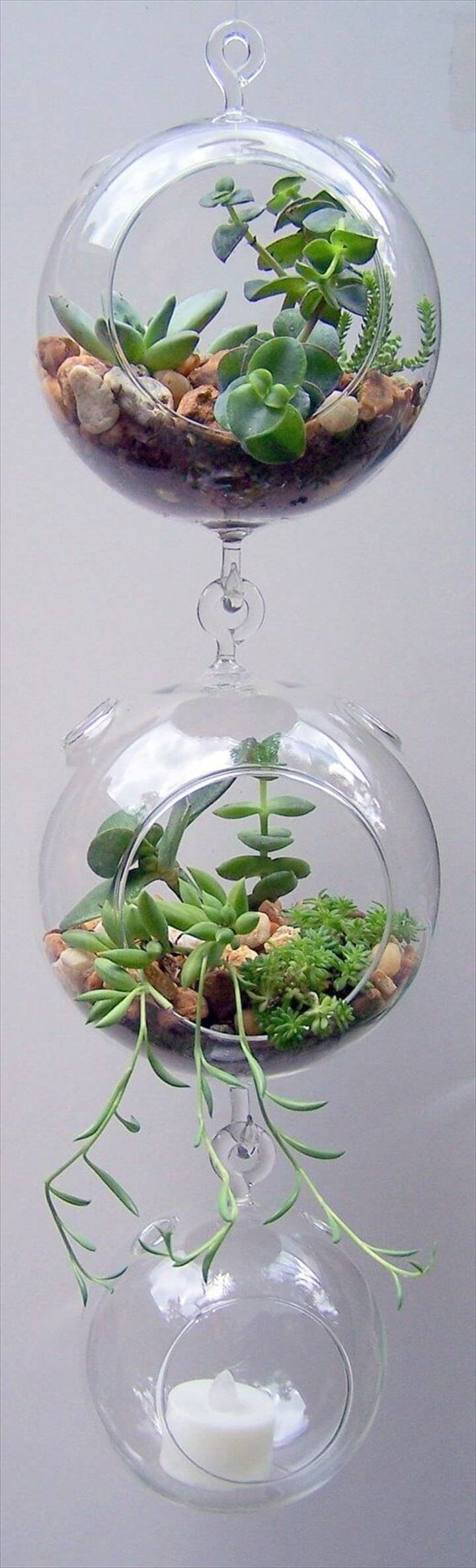 DIY Terrarium Glass Hanging Succulent Planters