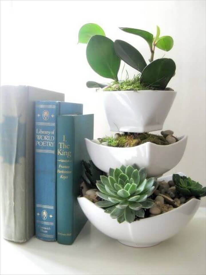 DIY Tiered Succulent Indoor Display