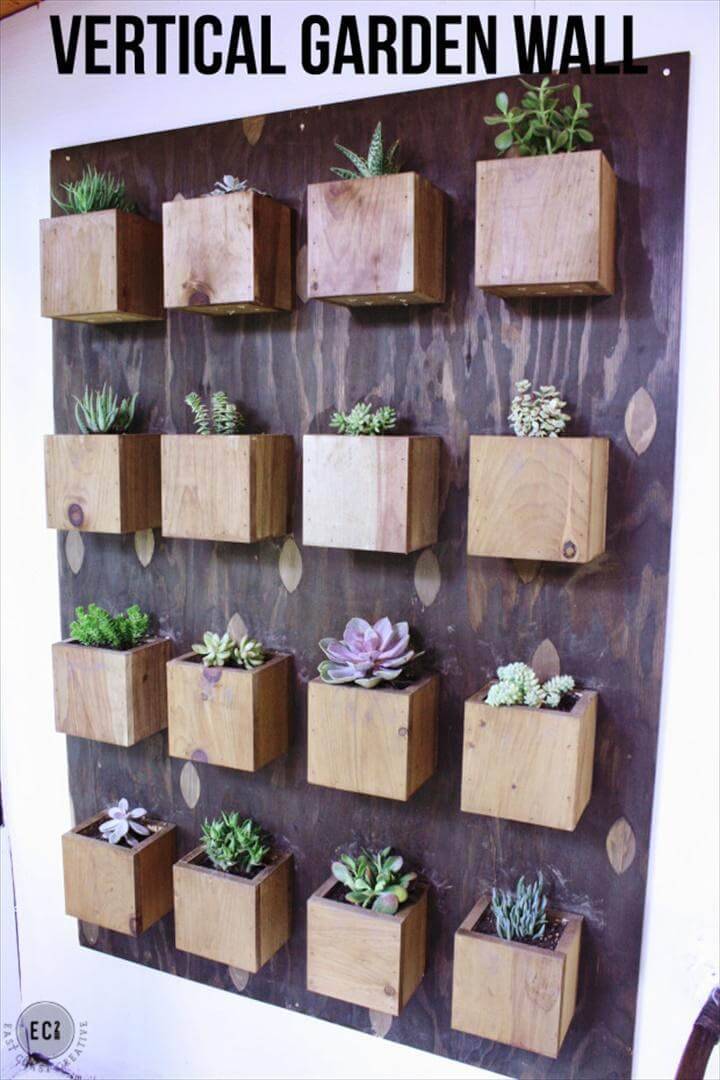 DIY Vertical Succulent Planter Wall Display