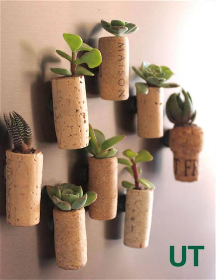 Wall Hanging Succulent Wine Corks