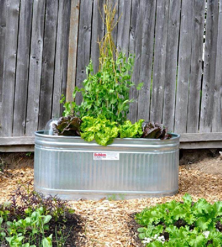 Repurposed Water Trough Planter