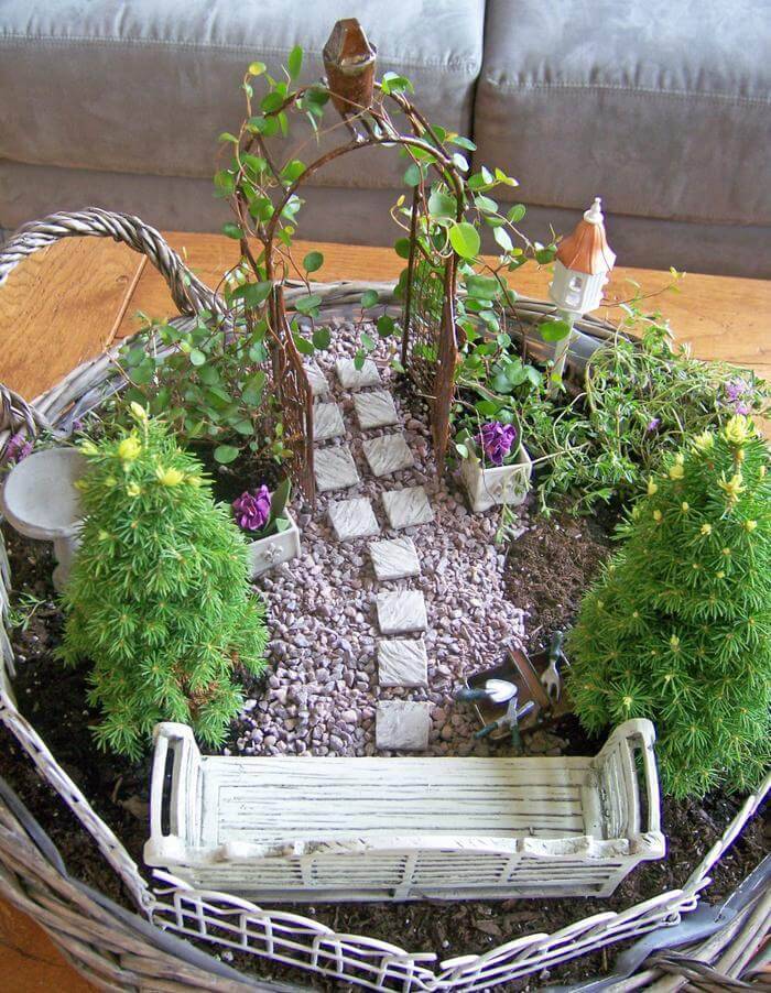 Creating a Magical Miniature Garden