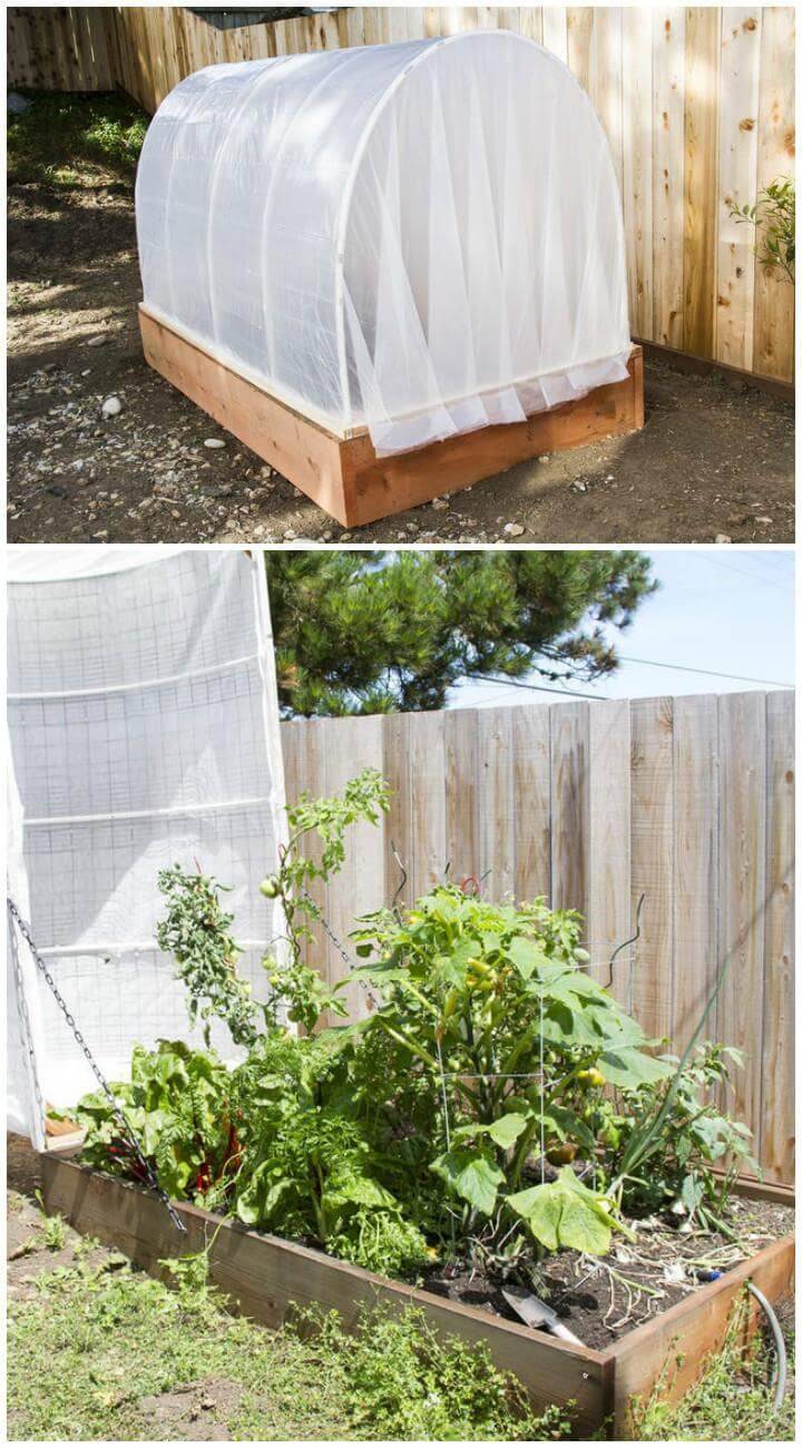 80+ DIY Greenhouse Ideas with Step-by-Step Plans ⋆ DIY Crafts