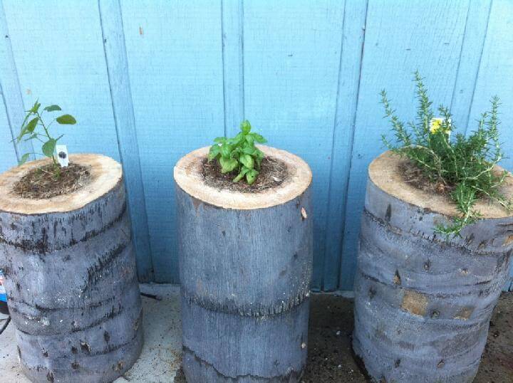 DIY Gorgeous Stump Planters