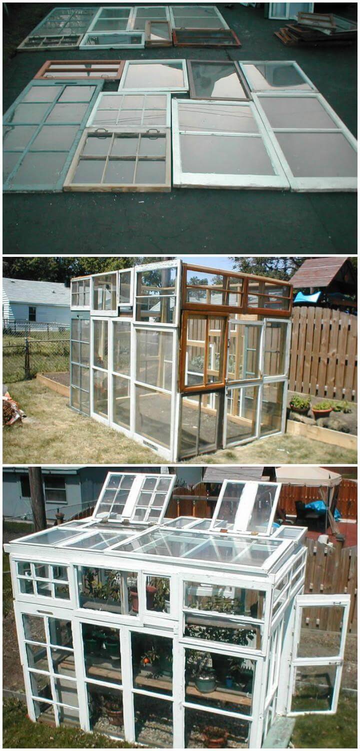 DIY Greenhouse Built From Old Windows