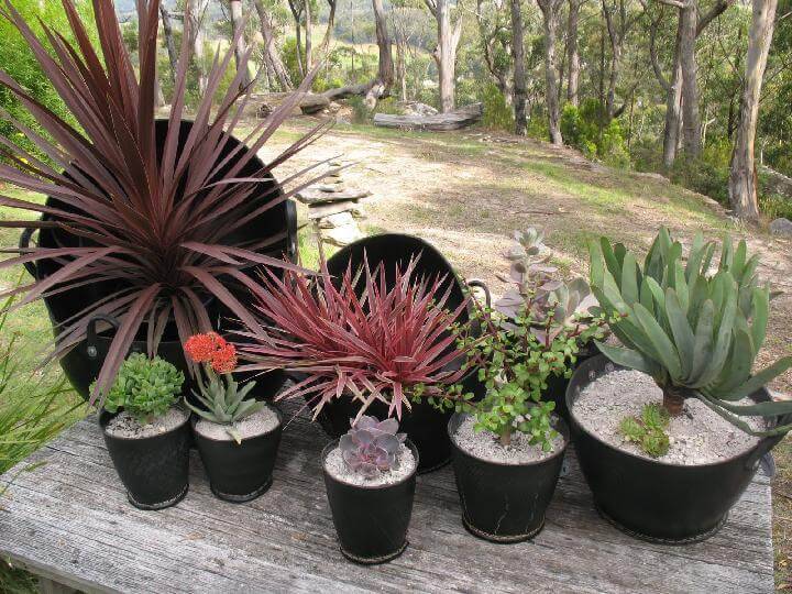 DIY Recycled Tire Planters