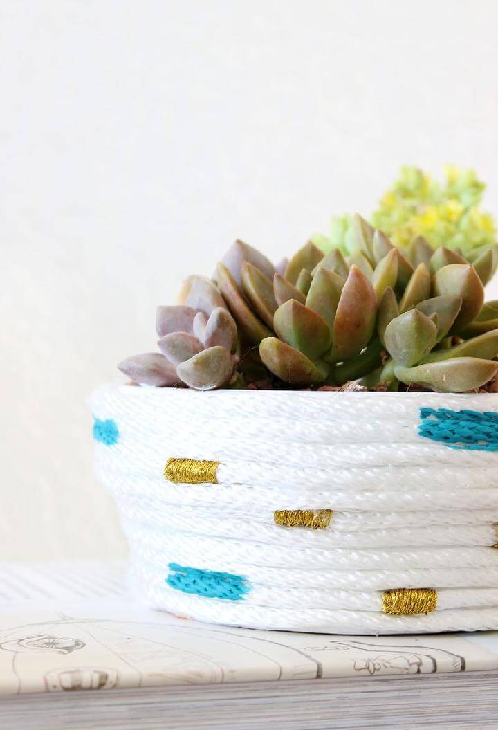 DIY Rope Wrapped Succulent Planter