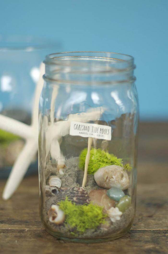 DIY Tide Pool Container Fairy Garden