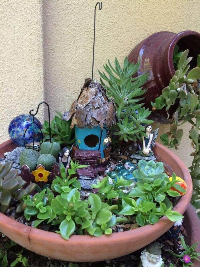 Water Wise Fairy Garden