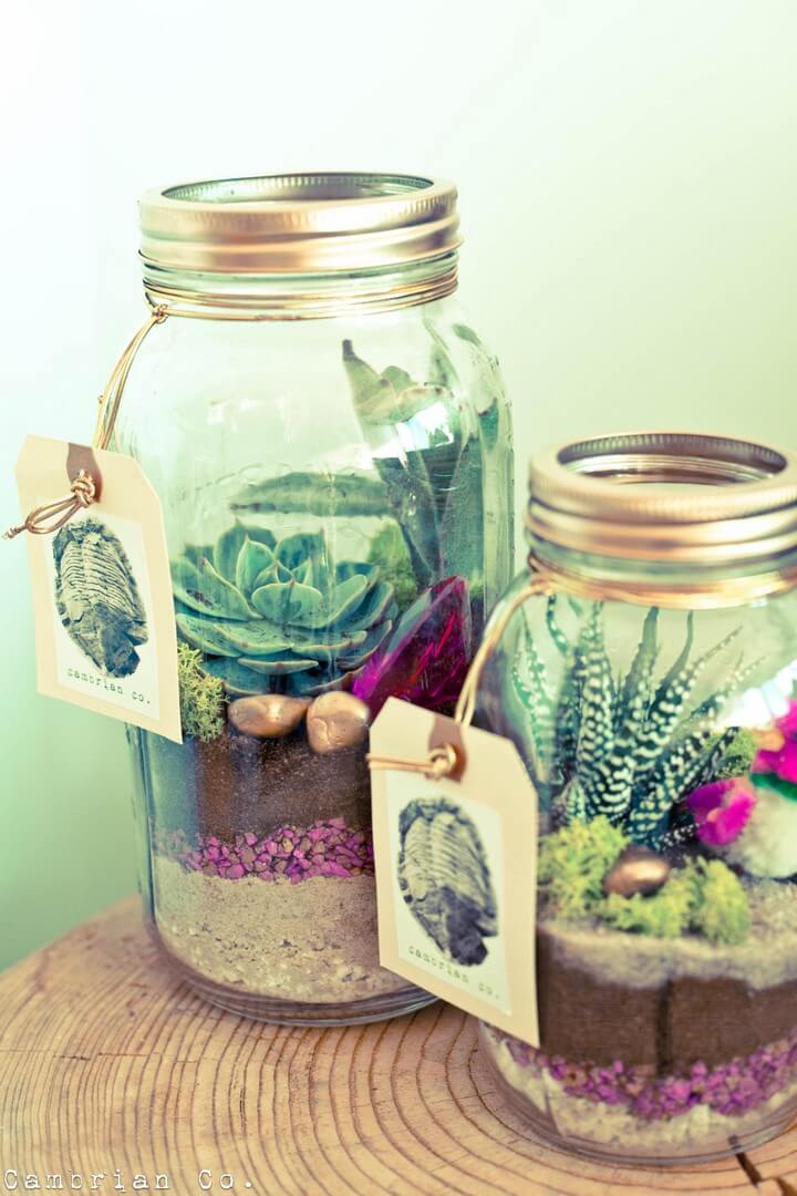 DIY Beautiful Mason Jar Succulent Gifts