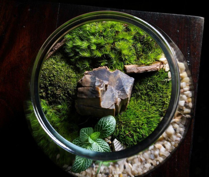 DIY Homemade Mason Jar Terrarium