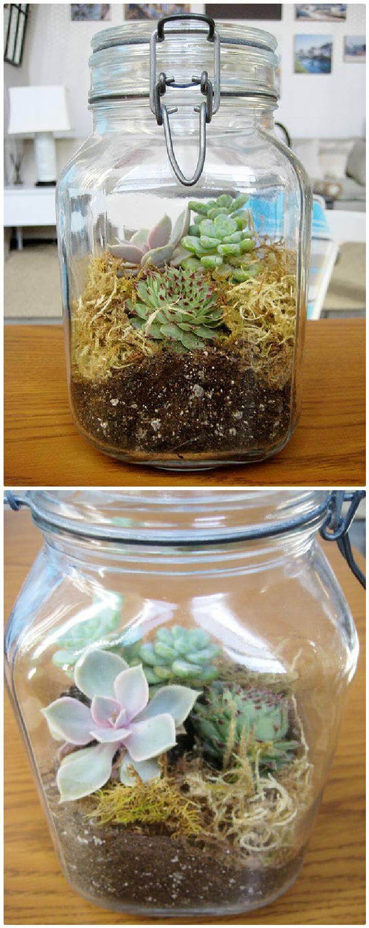 DIY Mason Jar Terrarium