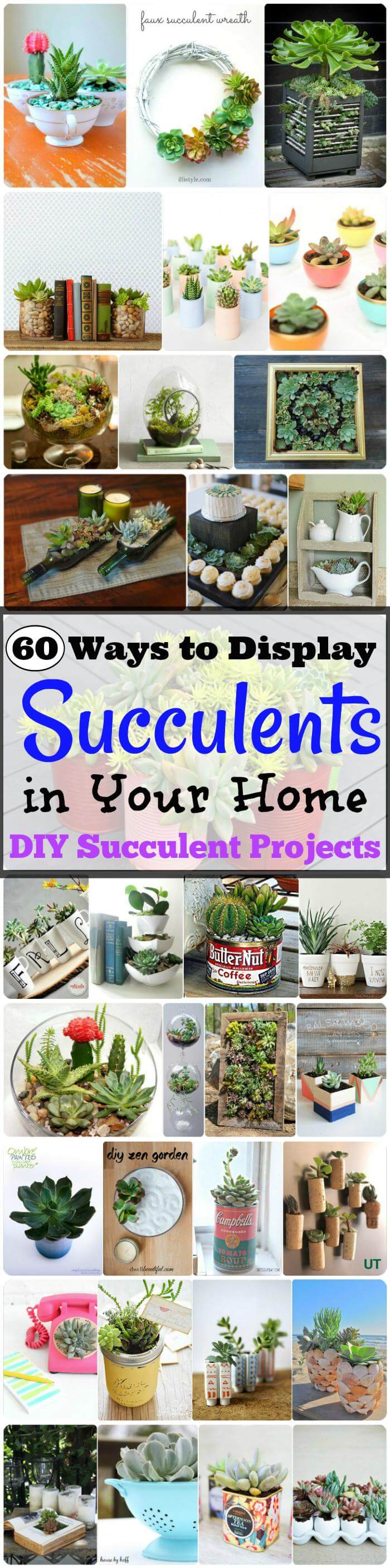 DIY Succulent Projects - 60 Ways to Display Succulents in Your Home ...