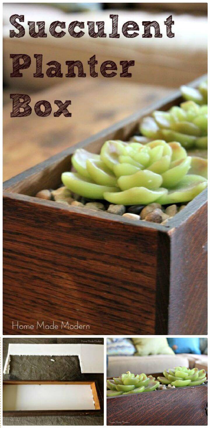 DIY Succulent Planter Box