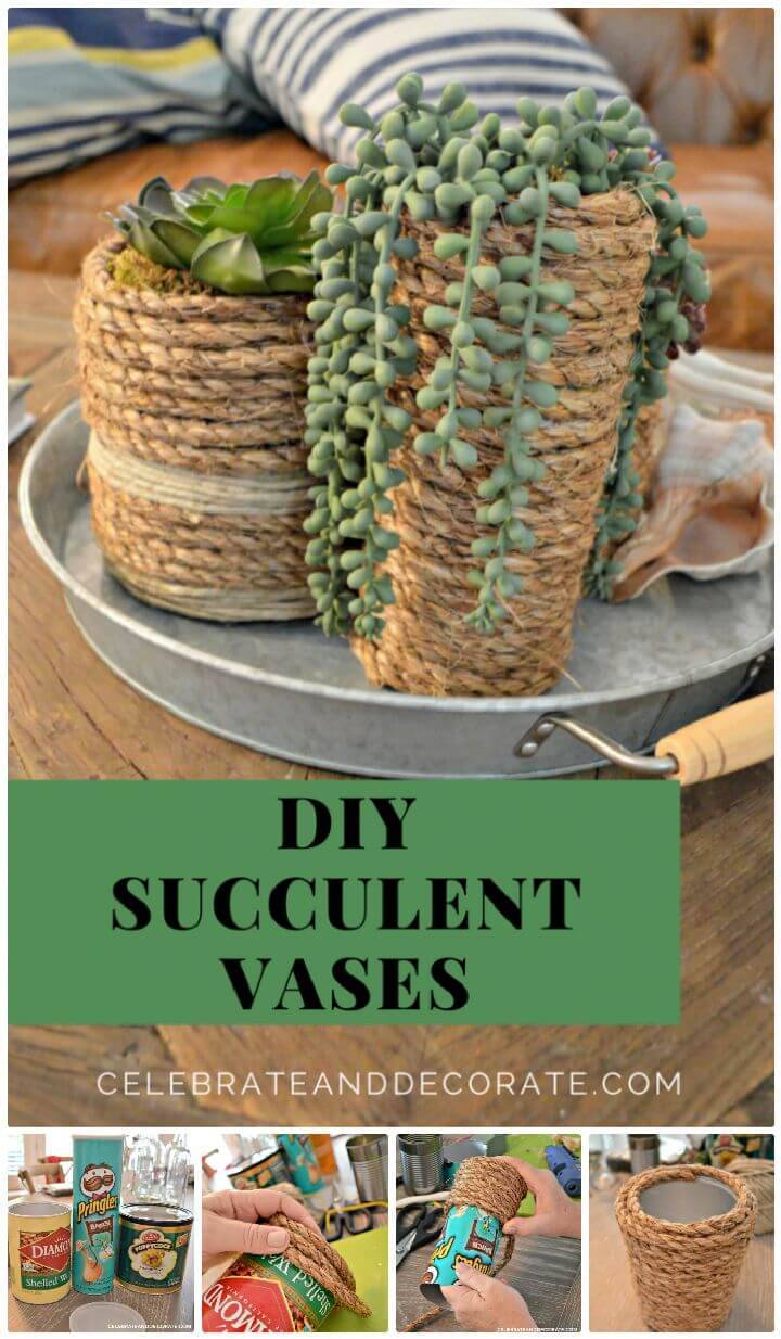 DIY Succulent Vases