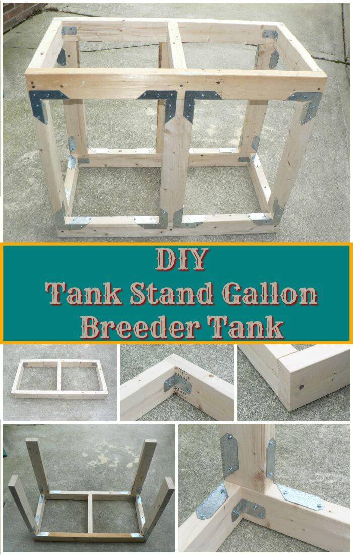 DIY Tank Stand Gallon Breeder Tank, DIY Easy Fish Tank ideas and Projects on a Budget