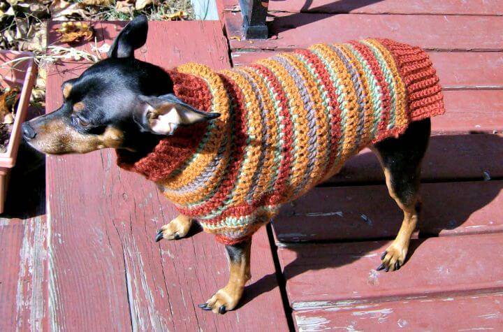 Free Crochet Autumn Stripes Crochet Min Pin Sweater Pattern