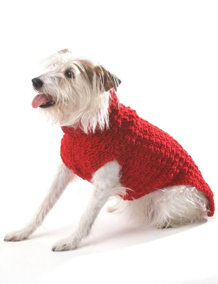 How To Crochet Bernat Dog Coat - Free Pattern