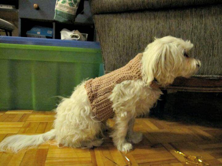 Free Crochet Doggies Sweater Pattern