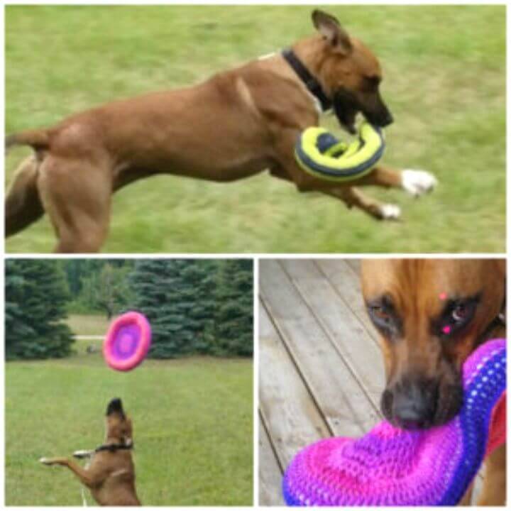 Free Crochet Frisbee Pattern For Pup