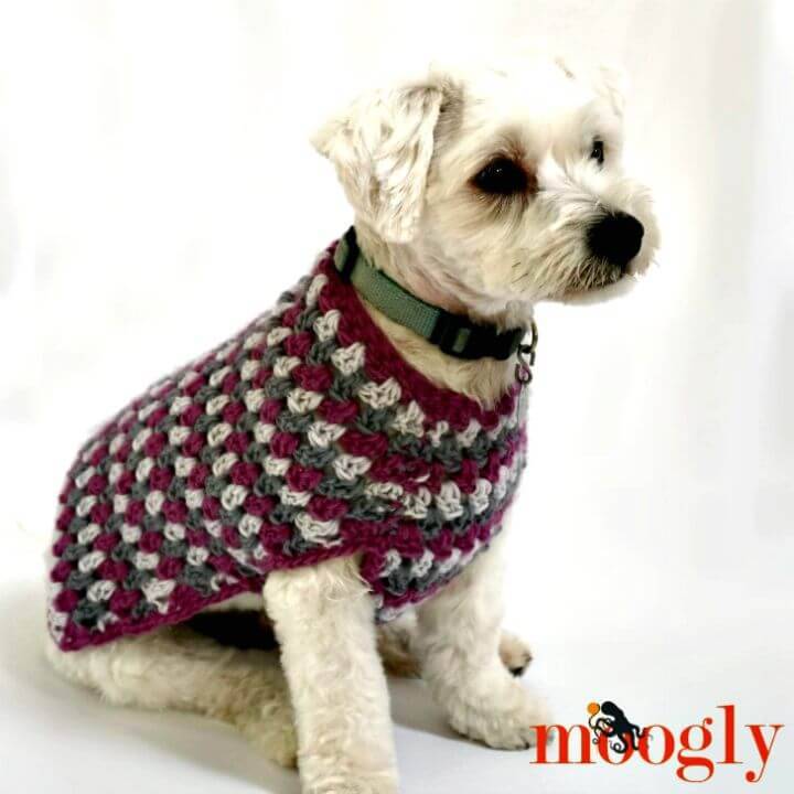 How To Crochet Well Dressed Dog Coat - Free Pattern